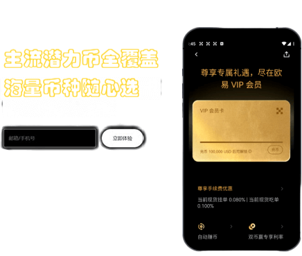 VIP 权益详情